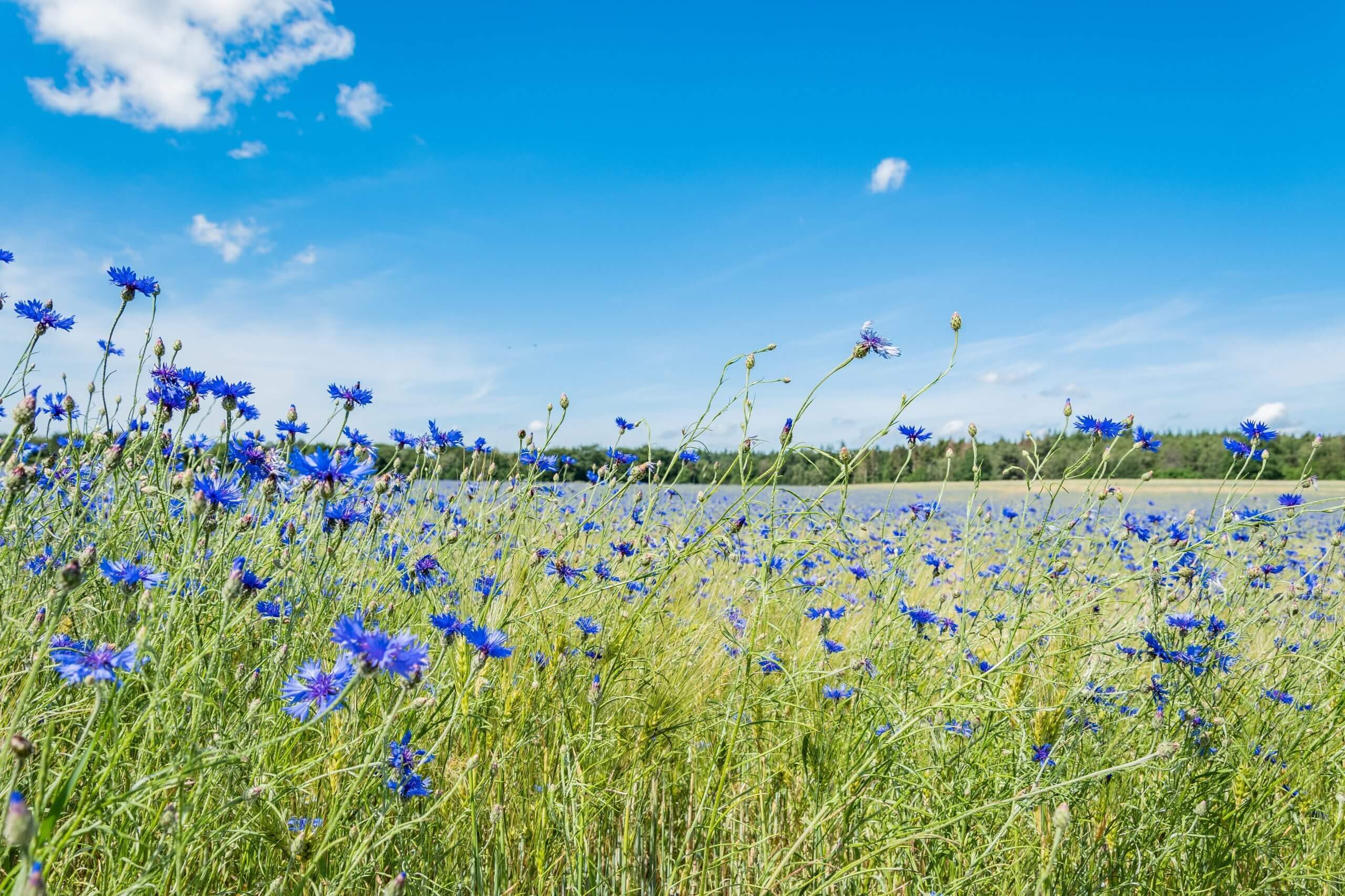 Hotspots in Montferland