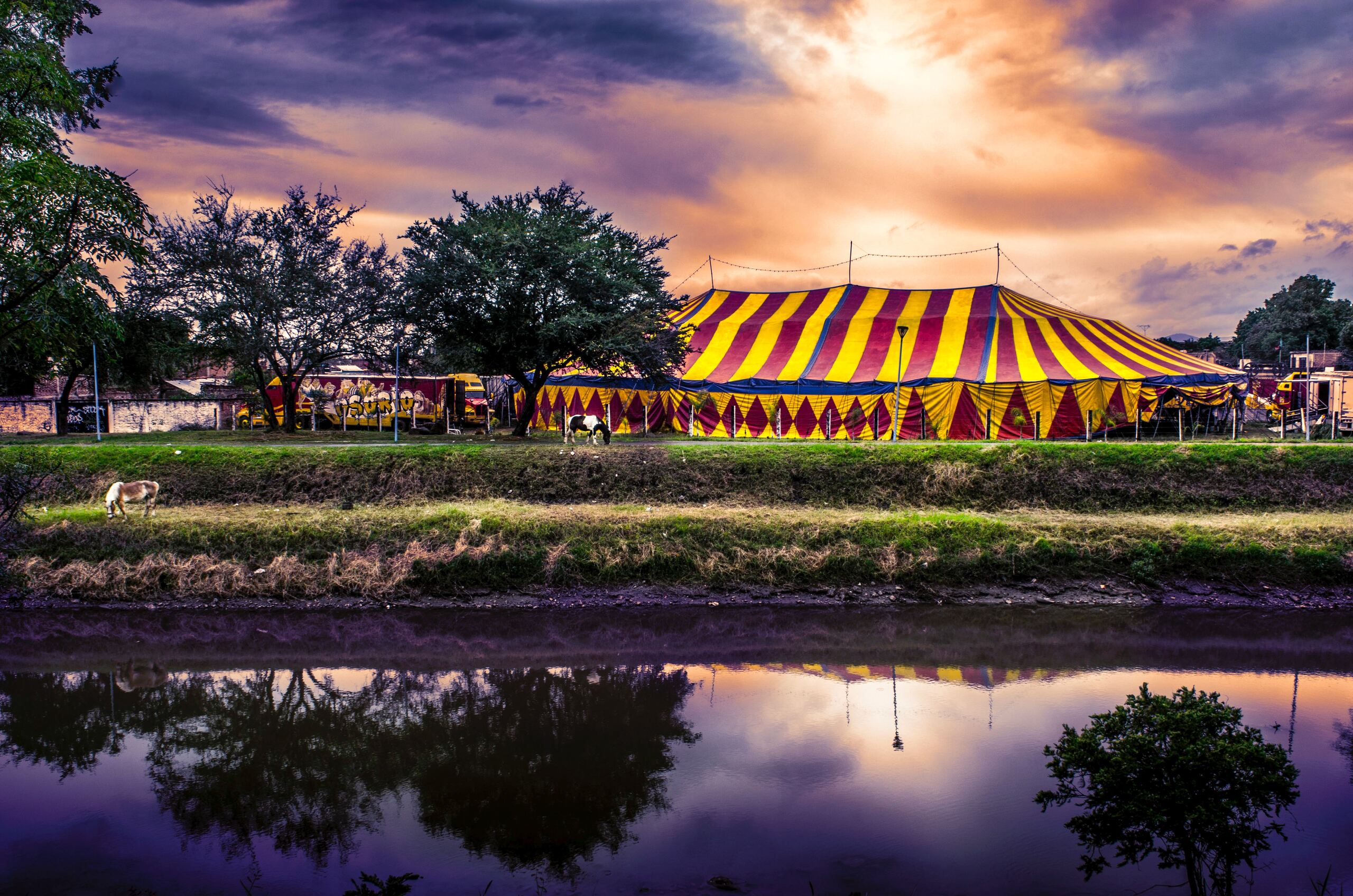 Circus Bolalou