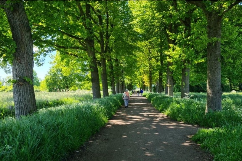 Boswegroute