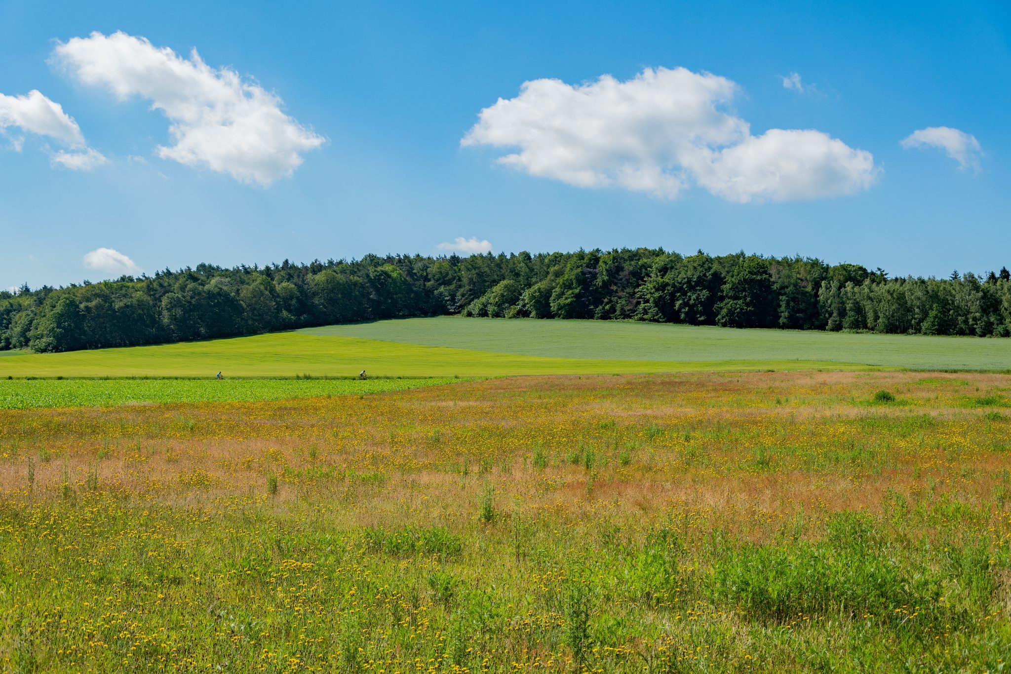 Montferland