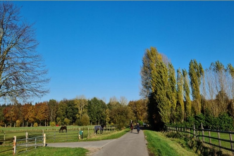 Zonderbosroute
