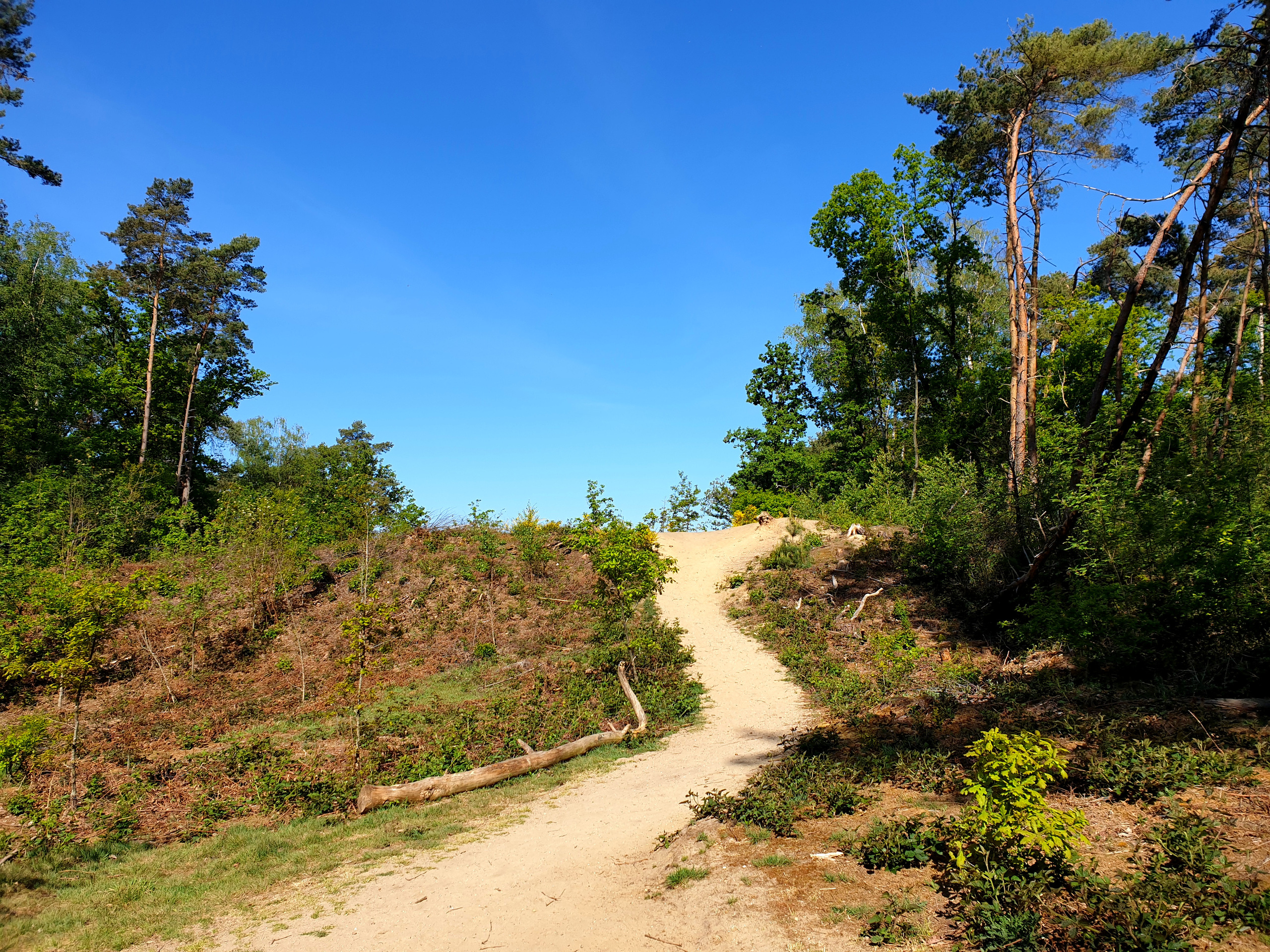 Bergherbos bij Beek (1)