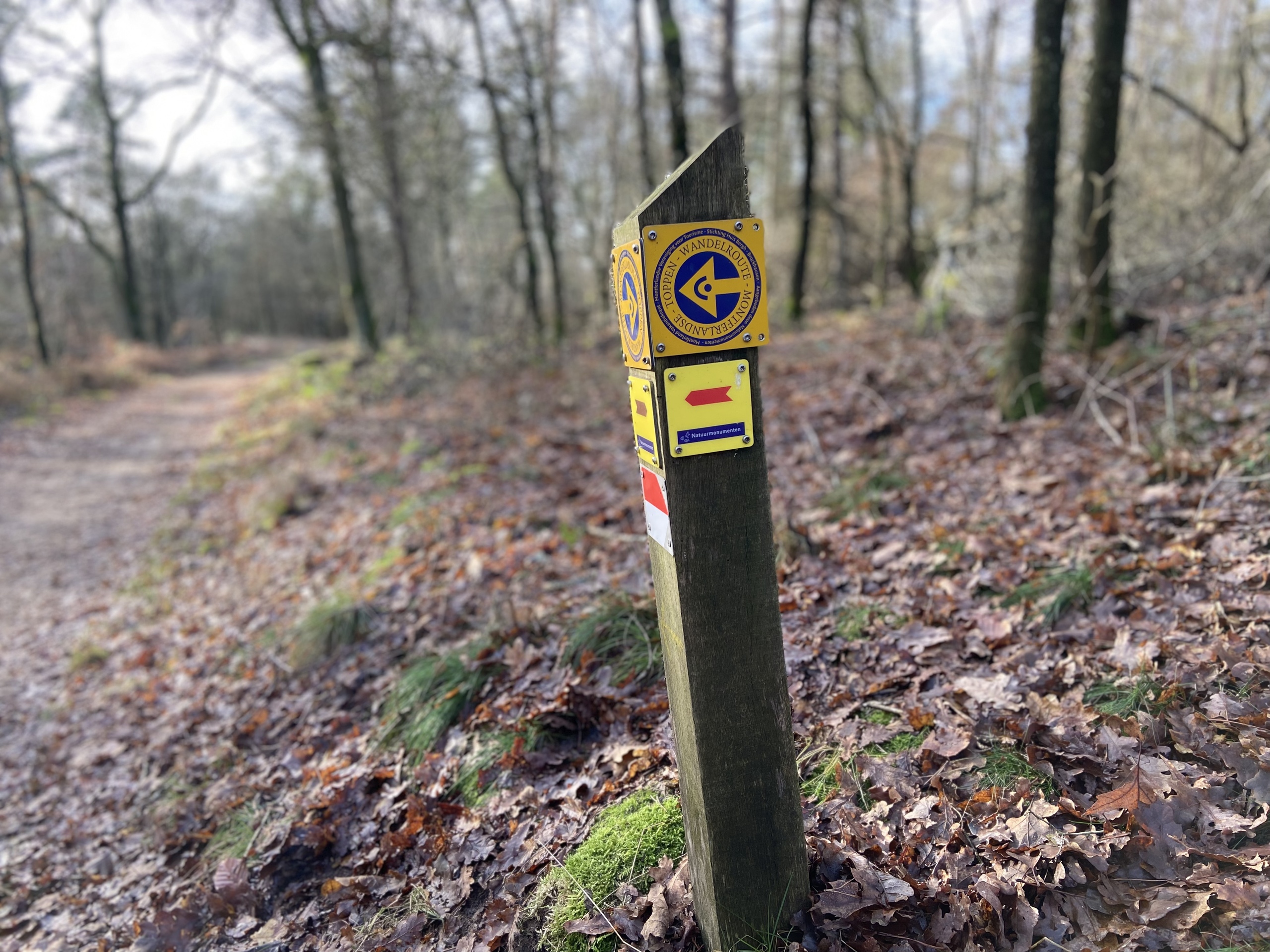 ks-foto-peeske-route-14