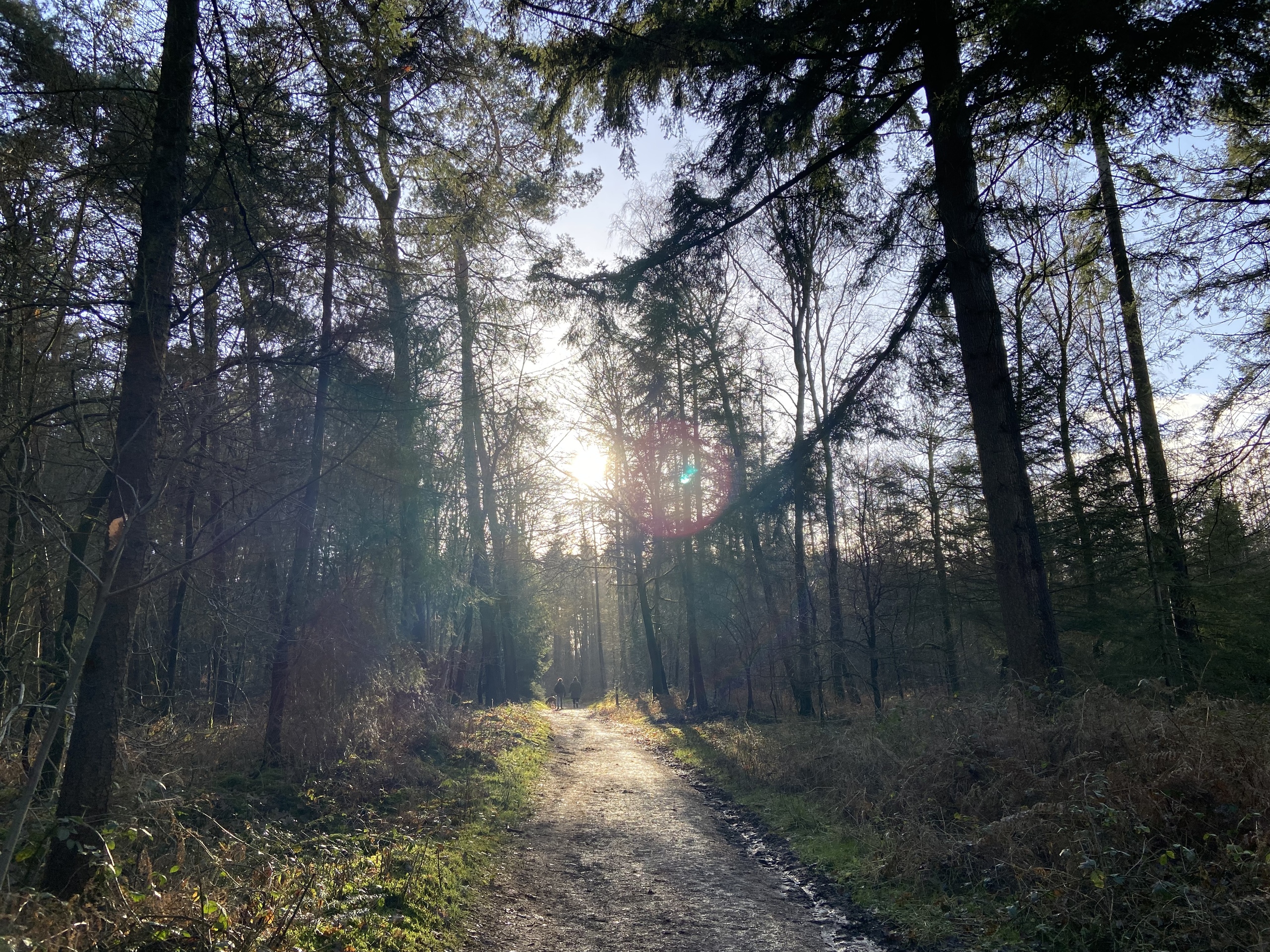 ks-foto-peeske-route-16