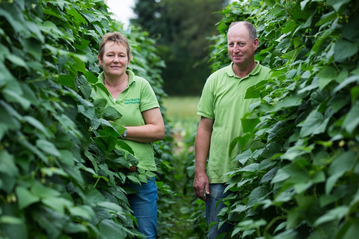 Tuinderij Gesthuizen