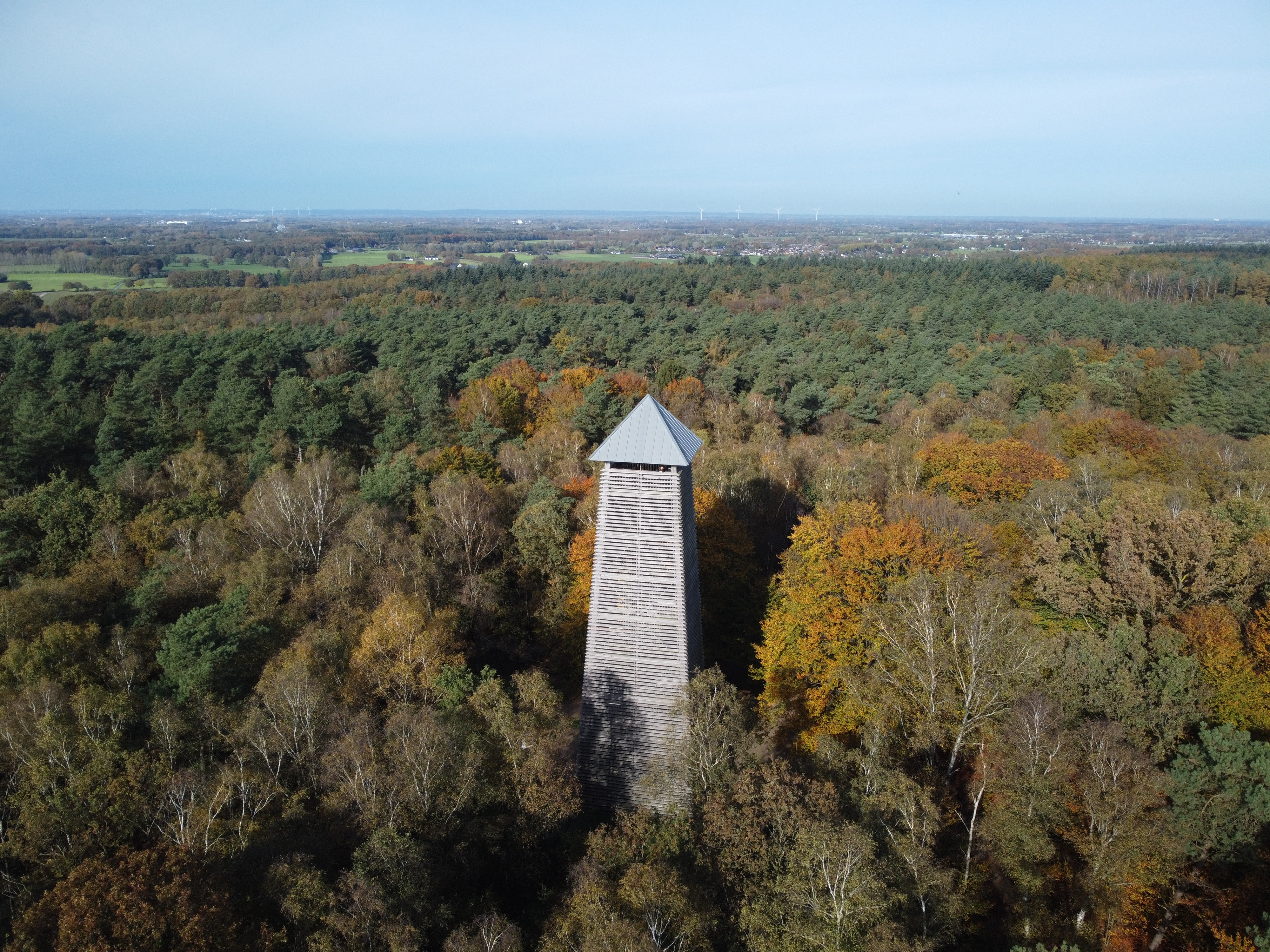 Herfstkriebels