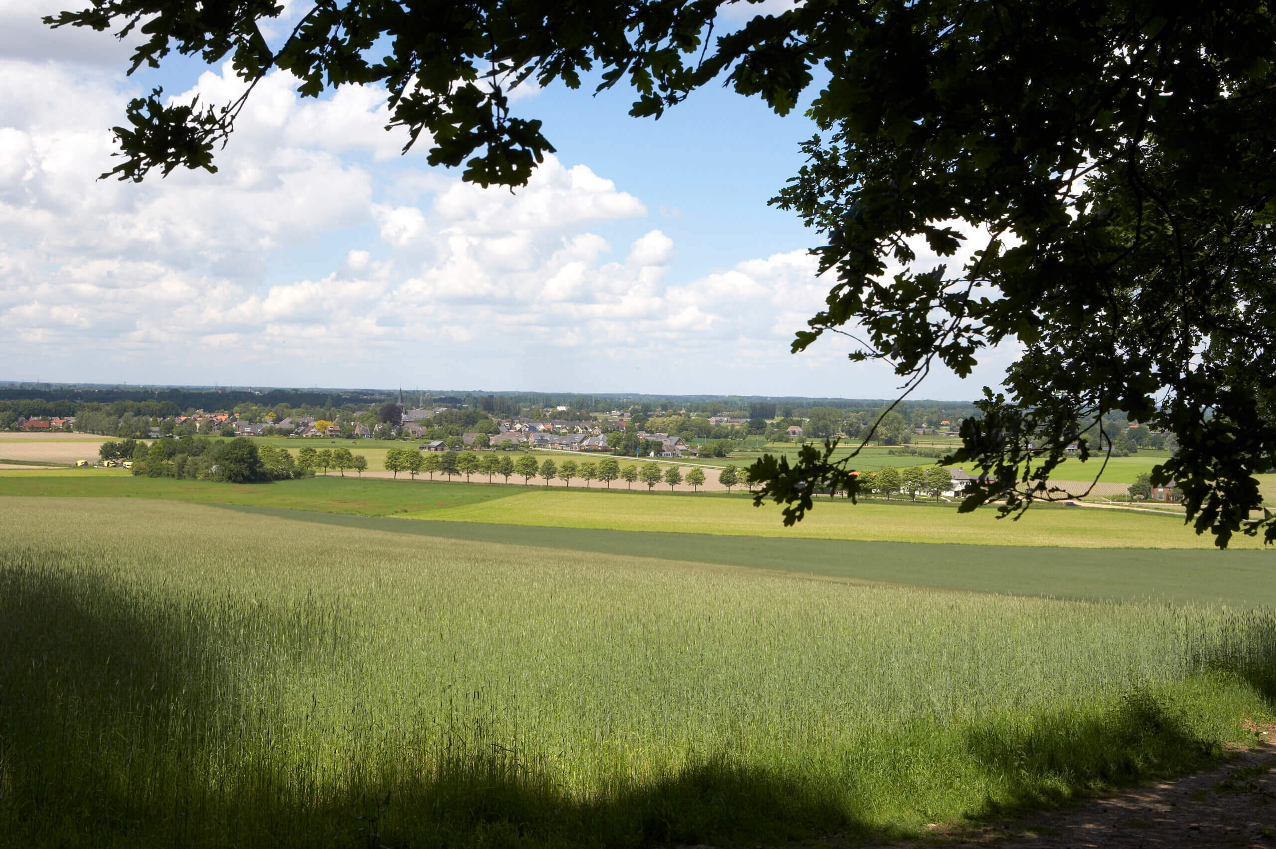 De grote Montferlandronde