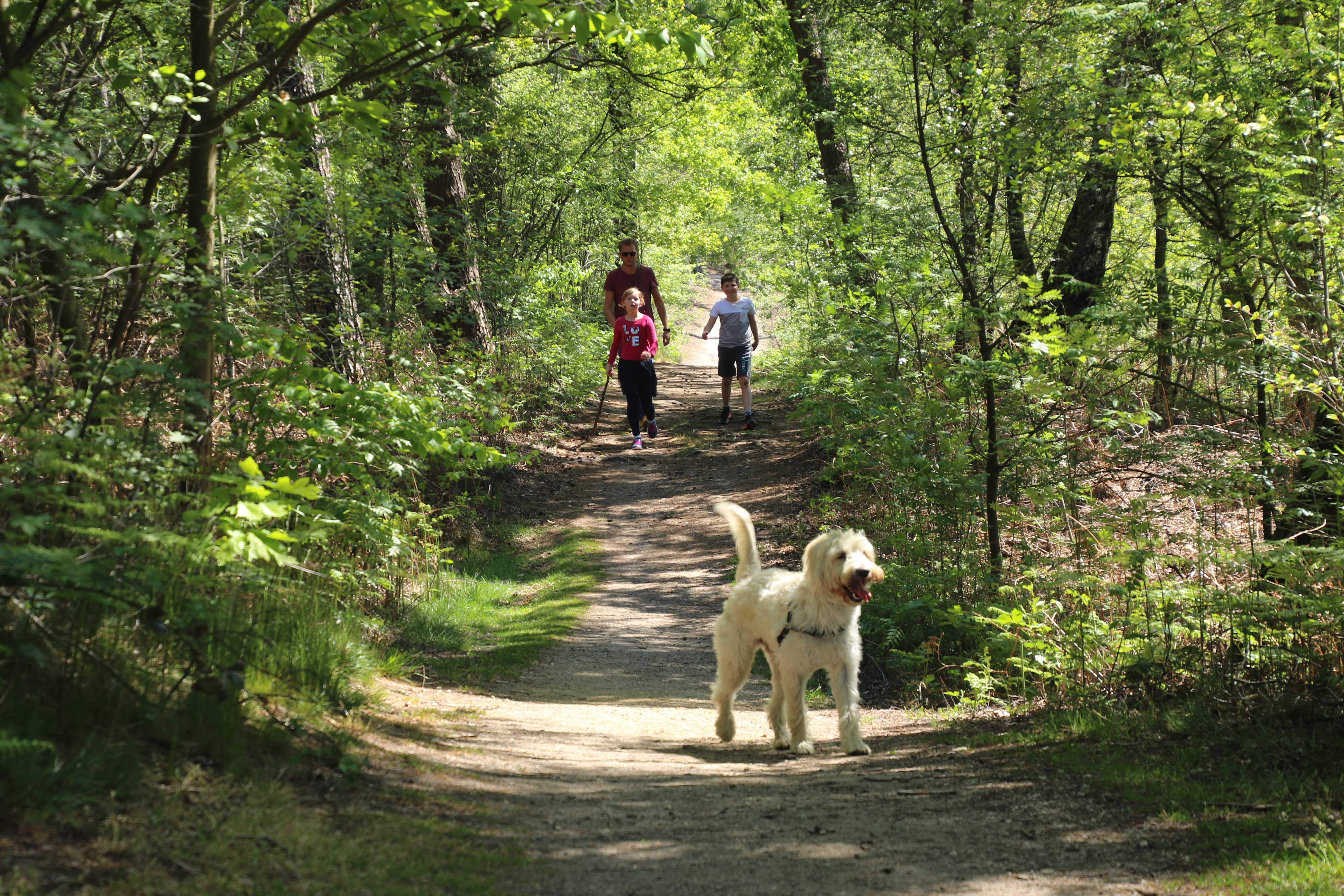 54e Montferland tocht - 1 & 2 juni